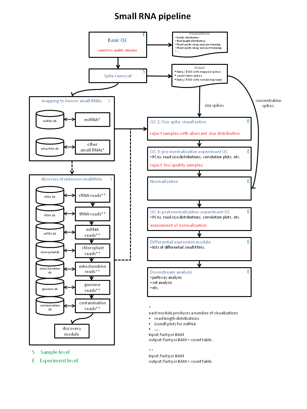 Small_RNA_ pipeline_v2.png