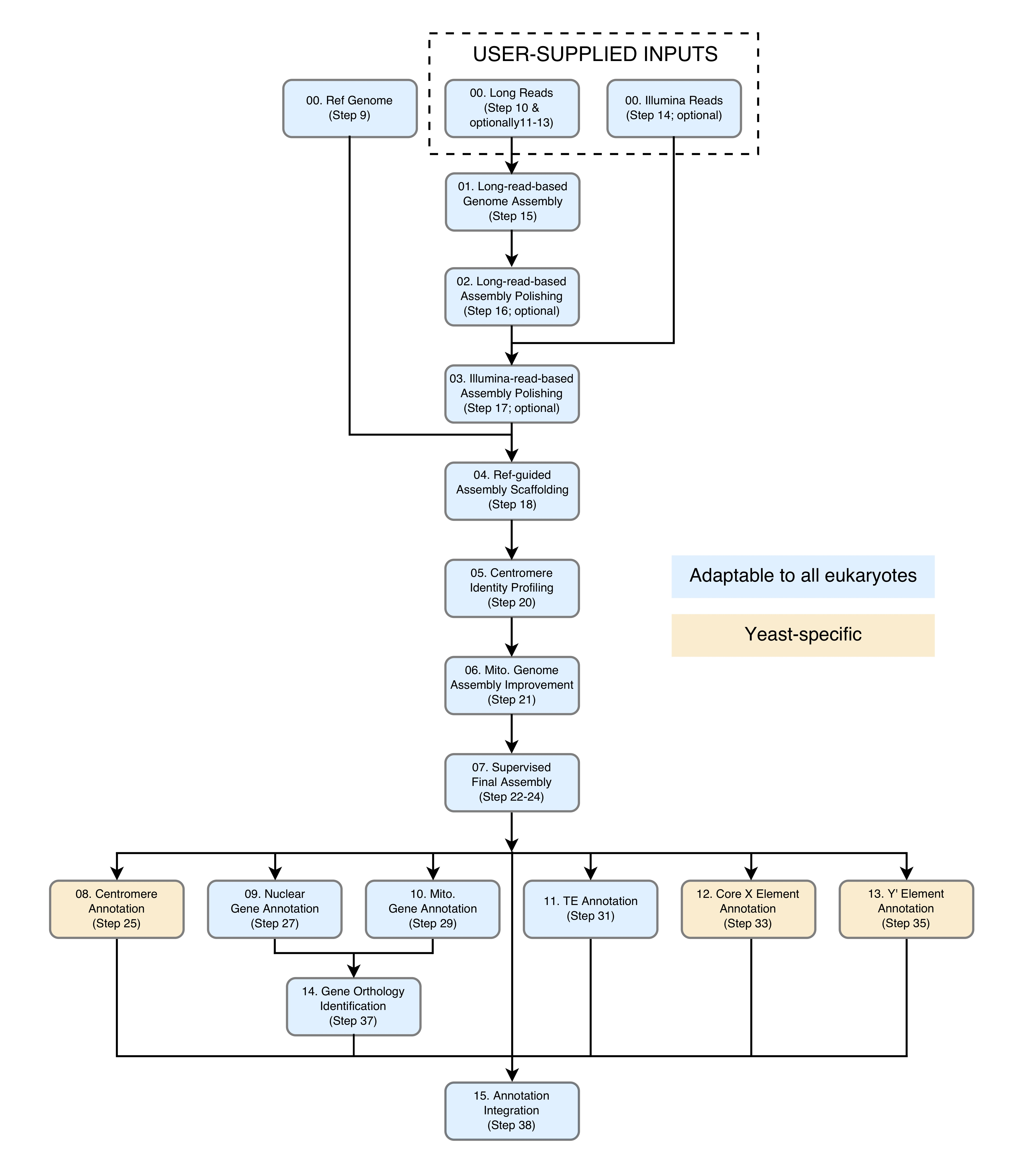 LRSDAY_flowchart.png